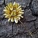 Algopix Similar Product 2 - Handcrafted Brass Metal Flower Lapel Pin
