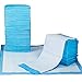Algopix Similar Product 5 - Petfamily SuperAbsorbent Dog Training