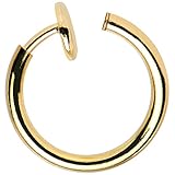Algopix Similar Product 9 - BodyJewelryOnline NonPiercing Hoops 
