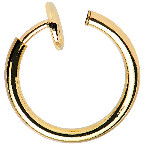 Algopix Similar Product 9 - BodyJewelryOnline NonPiercing Hoops 