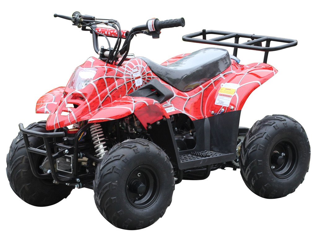 Algopix Similar Product 1 - 110cc ATV Four Wheelers Fully Automatic