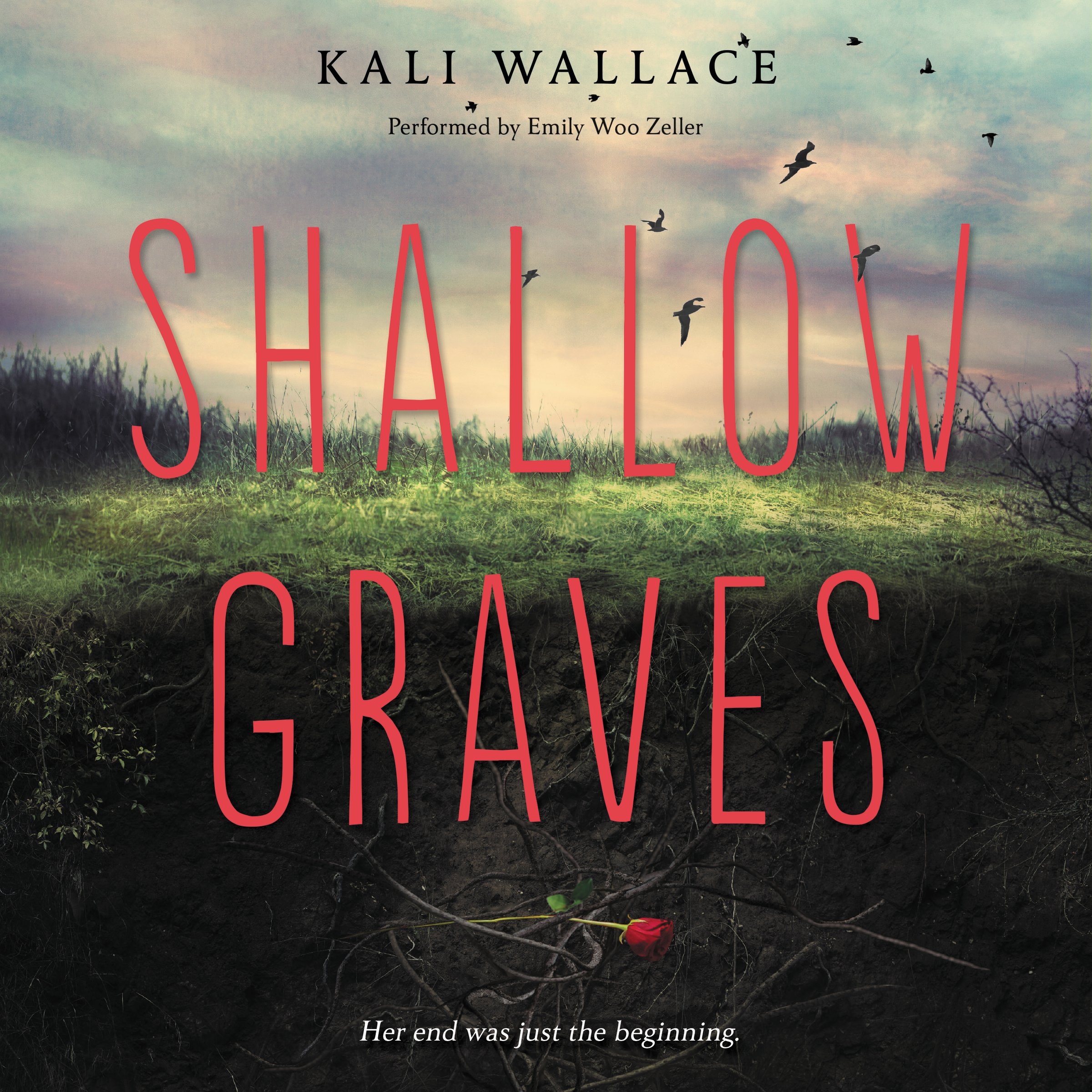 Algopix Similar Product 7 - Shallow Graves