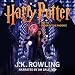 Algopix Similar Product 12 - Harry Potter and the Order of the