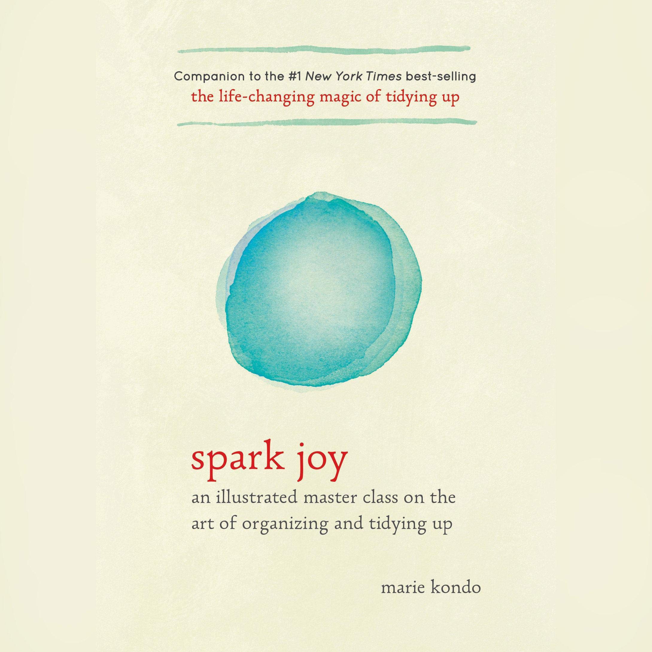 Algopix Similar Product 12 - Spark Joy An Illustrated Master Class