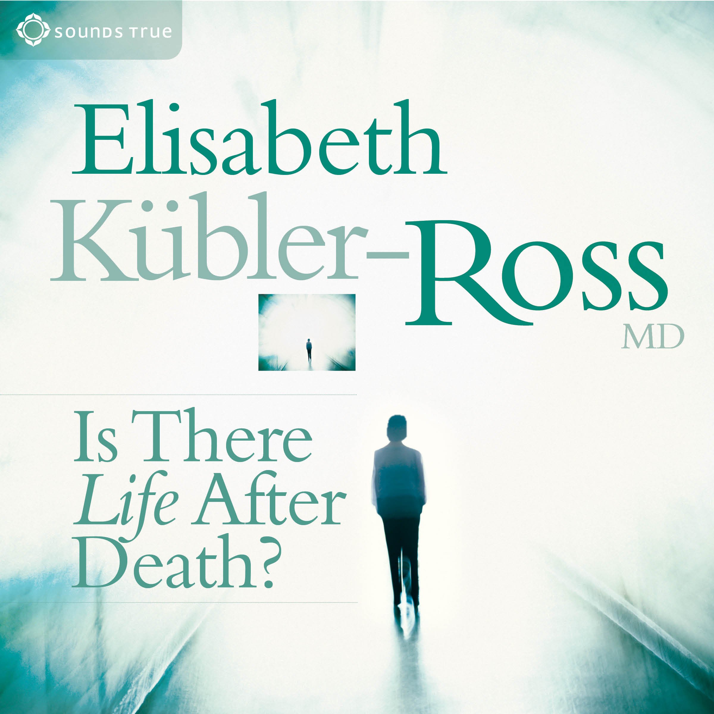 Algopix Similar Product 8 - Is There Life After Death?