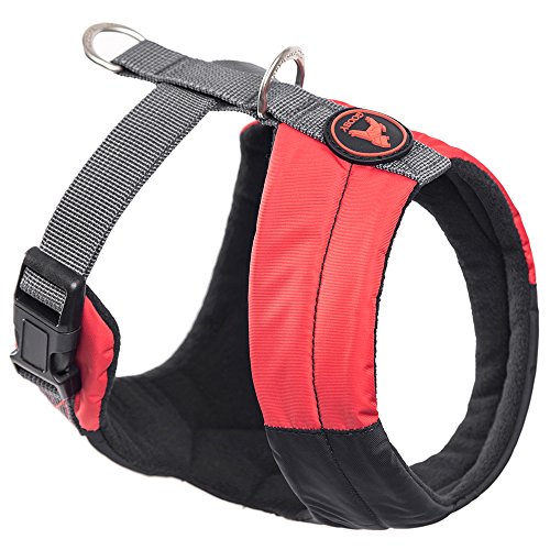 Algopix Similar Product 16 - 