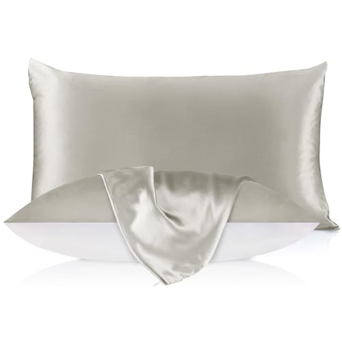 Algopix Similar Product 13 - LILYSILK 19mm Silk Pillowcase for Hair