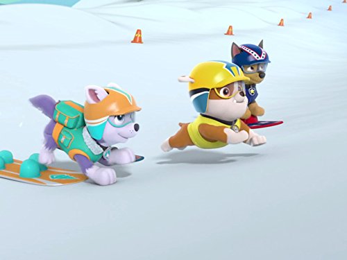 Algopix Similar Product 14 - Pups Save a Snowboard CompetitionPups