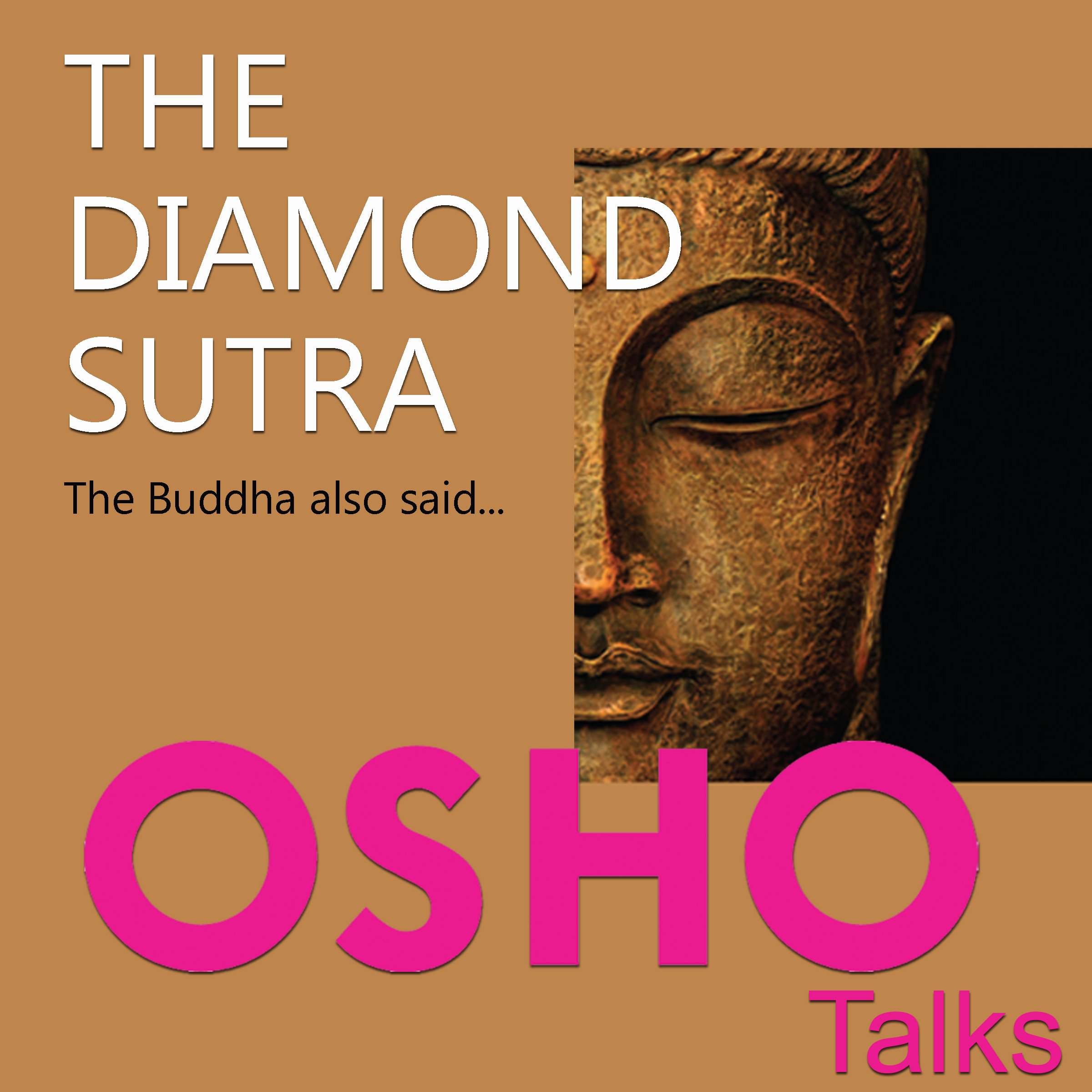 Algopix Similar Product 20 - The Diamond Sutra The Buddha Also