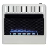 Algopix Similar Product 20 - Avenger Dual Fuel Ventless Blue Flame