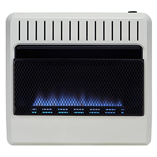 Algopix Similar Product 4 - Avenger Dual Fuel Ventless Blue Flame