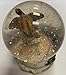 Algopix Similar Product 13 - Cheifly Snow Globe Turtle Design