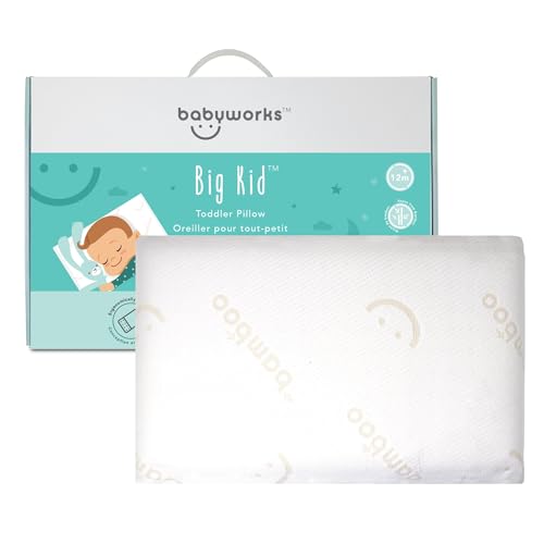 Algopix Similar Product 16 - Baby Works  Toddler Pillow With