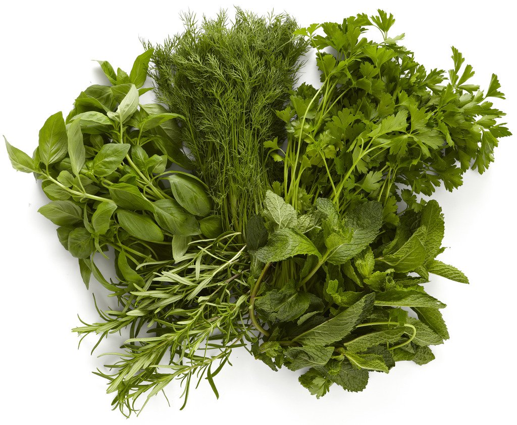 Algopix Similar Product 18 - Farmers Market Herb Bundle