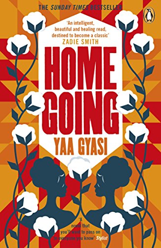 Algopix Similar Product 11 - Homegoing
