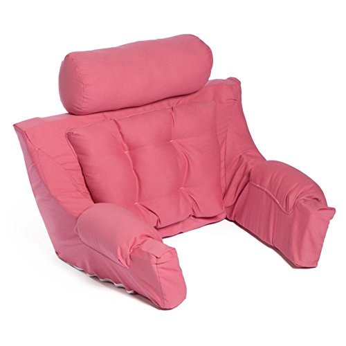 Algopix Similar Product 6 - Deluxe Lounger Backrest Color Coral