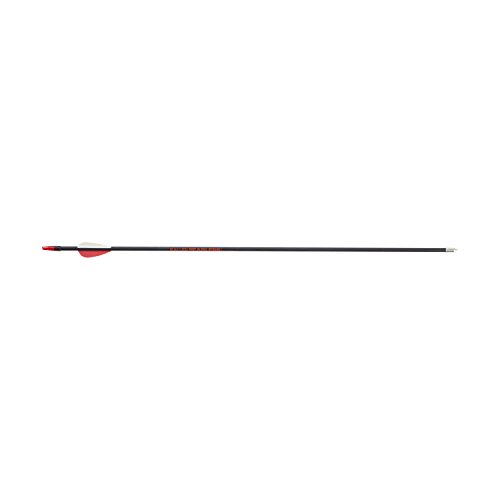 Algopix Similar Product 16 - Allen Fearless Youth Fiberglass Target