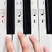 Algopix Similar Product 6 - QMG Piano Stickers for 4961 7688 Key