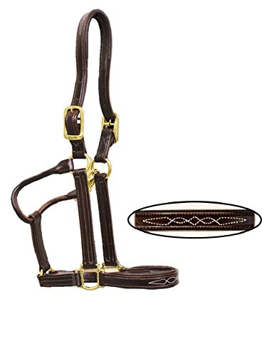 Algopix Similar Product 4 - Walsh Signature Padded Halter (6 (cob))