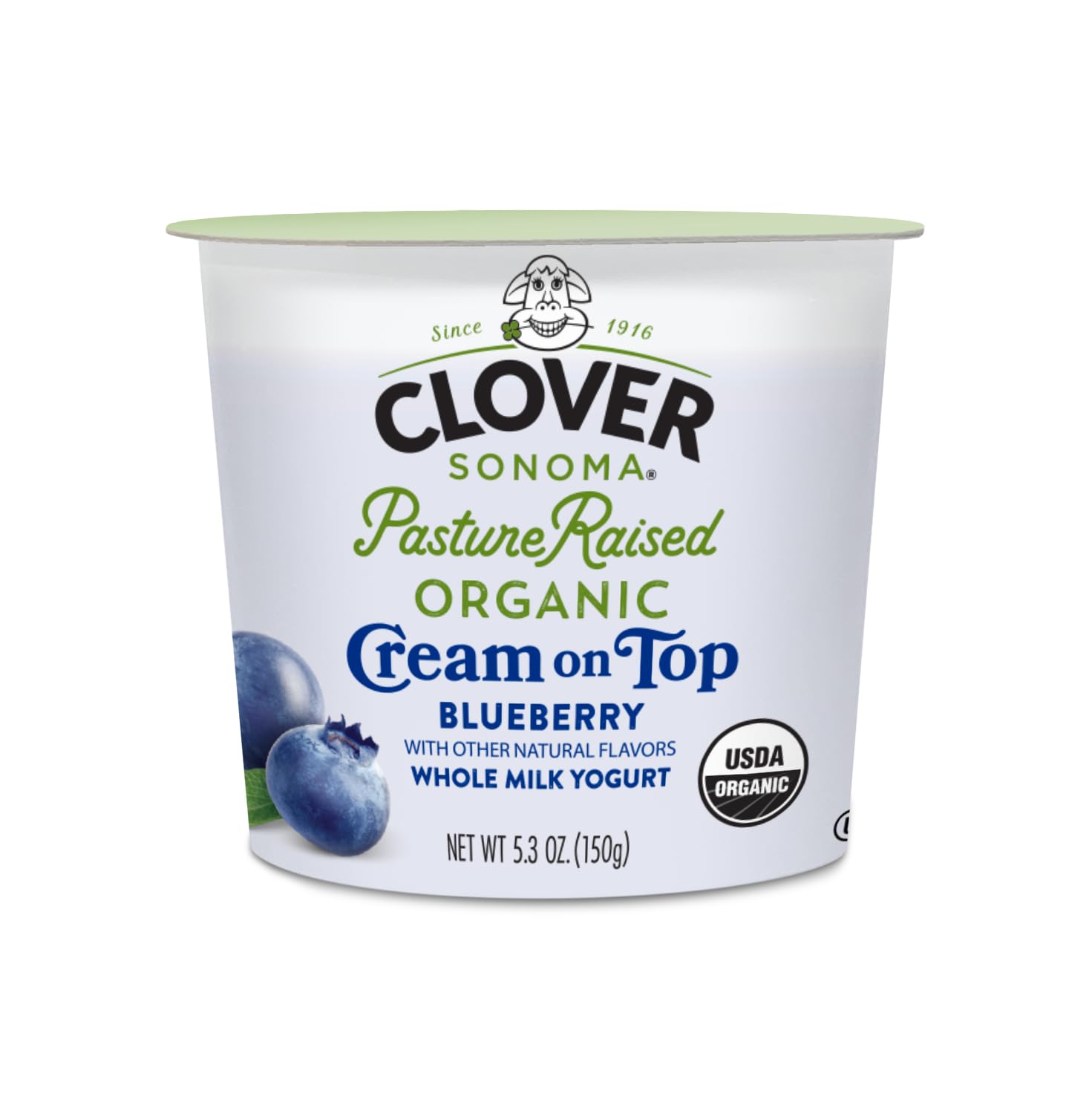 Algopix Similar Product 9 - Clover Sonoma Organic Cream On Top