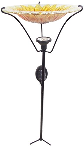 Algopix Similar Product 17 - Continental Art CAC2610410B 11 Solar