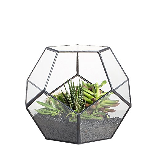 Algopix Similar Product 6 - NCYP Small Open Terrarium Planter 