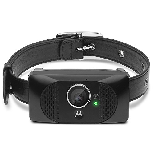 Algopix Similar Product 12 - Motorola SCOUT5000 Wearable HD Pet