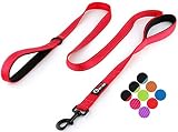 Algopix Similar Product 5 - Primal Pet Gear Dog Leash 6ft Long 