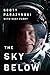 Algopix Similar Product 5 - The Sky Below A True Story of Summits