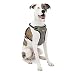 Algopix Similar Product 11 - Kurgo Impact Dog Car Harness Crash