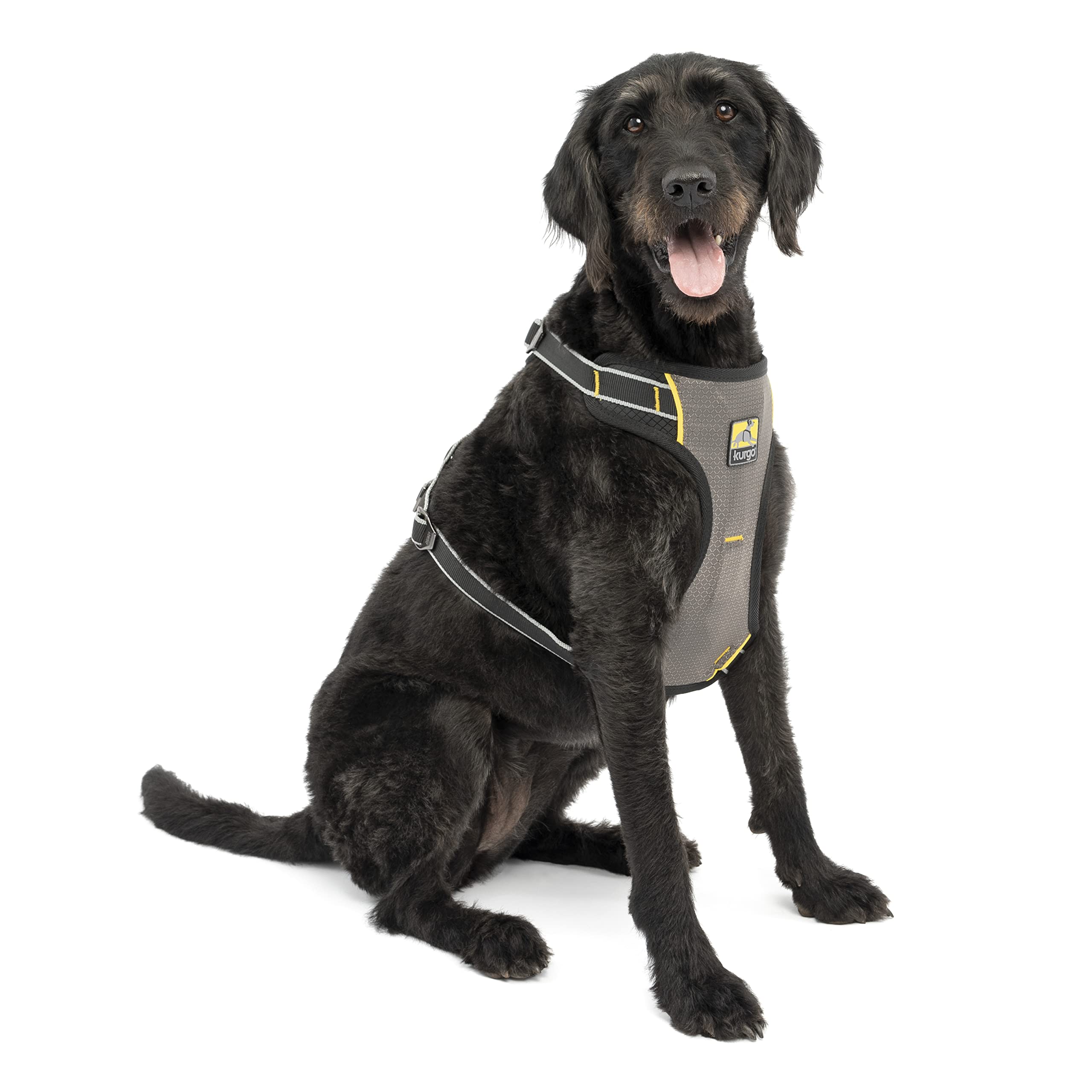 Algopix Similar Product 14 - Kurgo Car Safety Dog Harness Crash