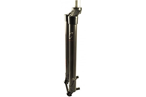 Algopix Similar Product 11 - eXotic Rigid Carbon Mountain Bike Fork