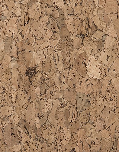Algopix Similar Product 3 - WallCork QNP490627 Quercus Natural