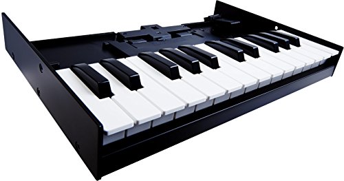 Algopix Similar Product 3 - Roland K25M Boutique Module Dock USB