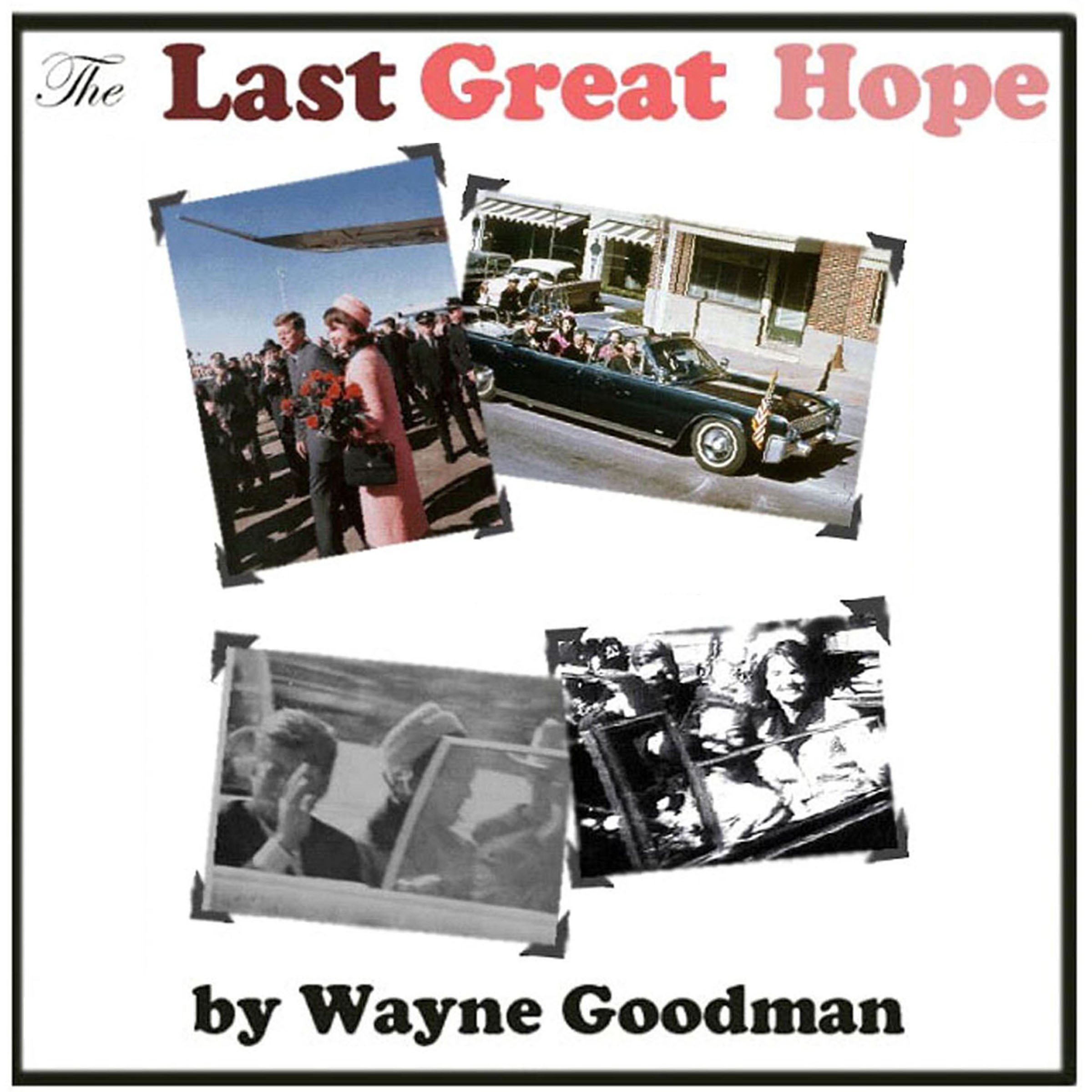 Algopix Similar Product 4 - The Last Great Hope