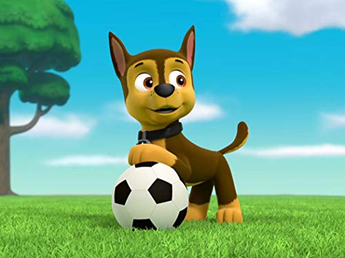 Algopix Similar Product 20 - Pups Save the Soccer GamePups Save a