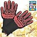 Algopix Similar Product 9 - Amazing BBQ Gloves  1472F Extreme