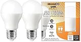 Algopix Similar Product 5 - Miracle LED MAX Replaces 100W