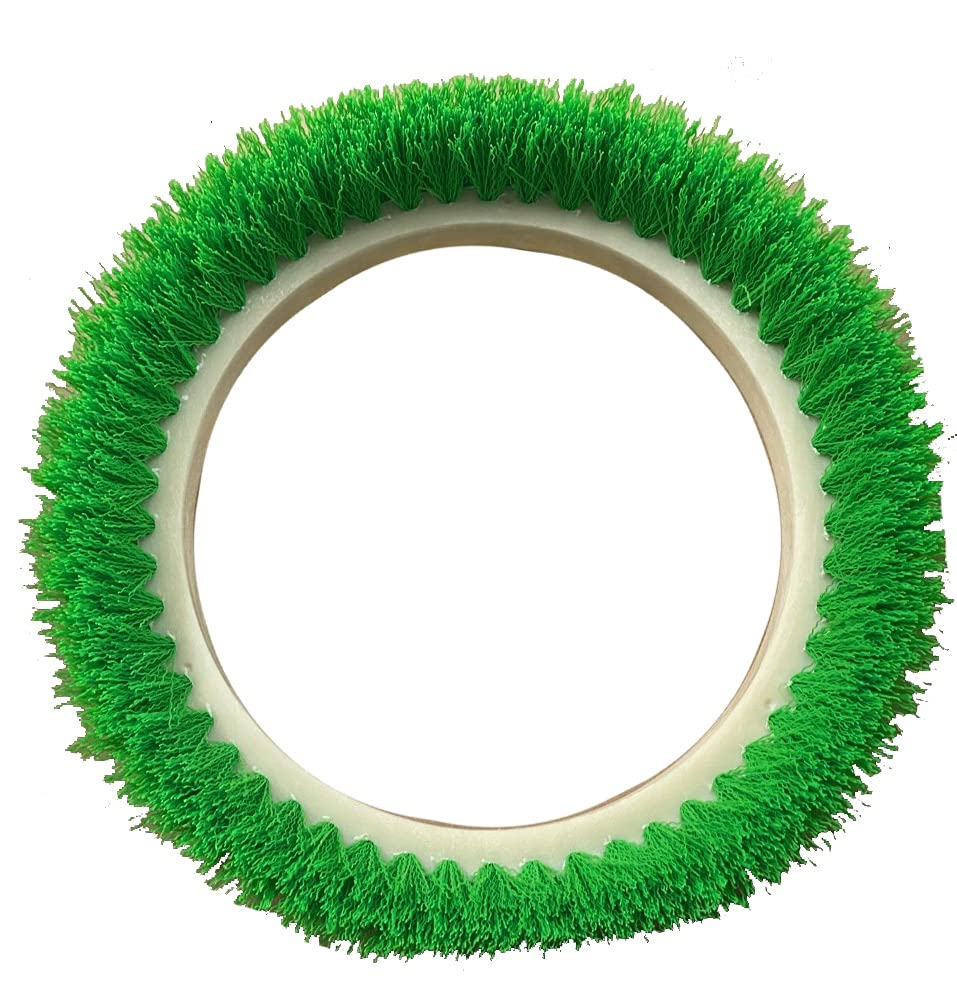 Algopix Similar Product 20 - Bissell BigGreen Commercial 237057BG