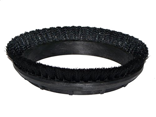 Algopix Similar Product 5 - BISSELL BigGreen Commercial 237049BG