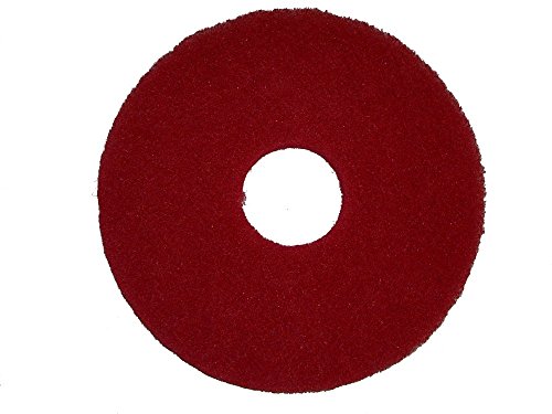 Algopix Similar Product 7 - BISSELL BigGreen Commercial 437055BG