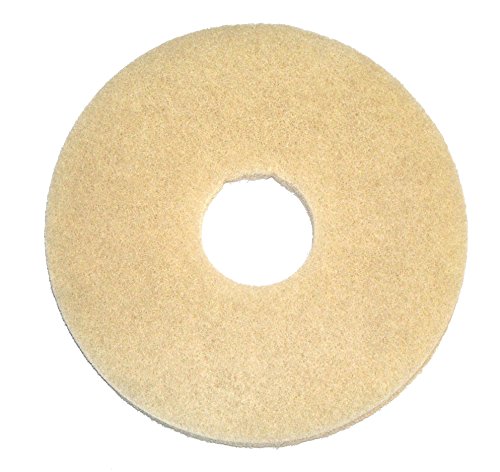 Algopix Similar Product 5 - BISSELL BigGreen Commercial 437058BG