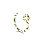 Algopix Similar Product 3 - Faux Gold and Silver Tiny Nose Rings