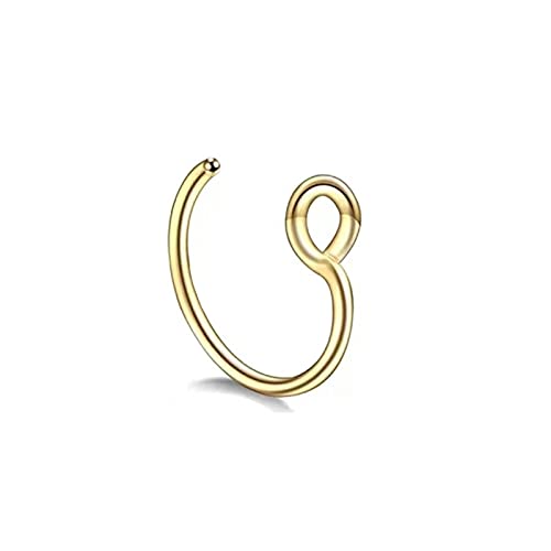 Algopix Similar Product 10 - Faux Gold and Silver Tiny Nose Rings