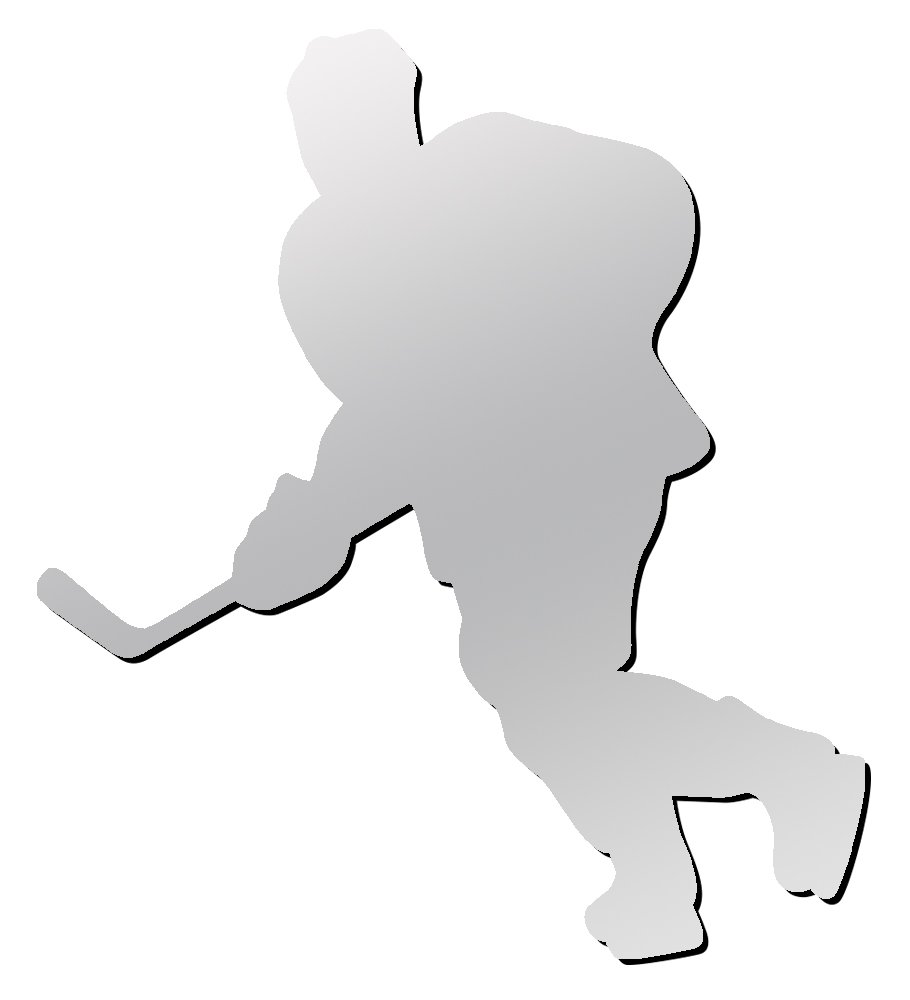 Algopix Similar Product 19 - AR Sports Hockey Player Magnet 