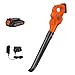 Algopix Similar Product 7 - BLACKDECKER 20V MAX Cordless Leaf