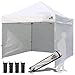 Algopix Similar Product 8 - Eurmax USA 10x10 Popup Canopy Tent