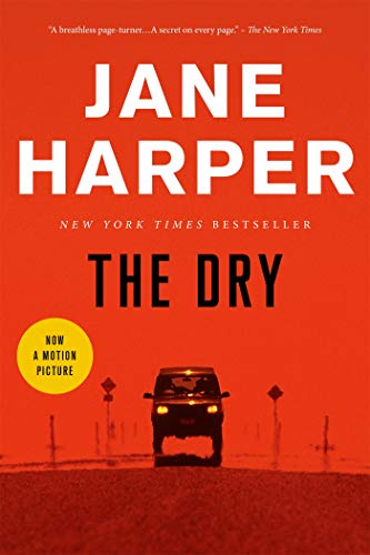 Algopix Similar Product 17 - The Dry: A Novel