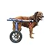 Algopix Similar Product 15 - Walkin Wheels Dog Wheelchair  for