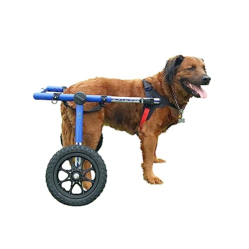 Algopix Similar Product 7 - Walkin Wheels Dog Wheelchair  for